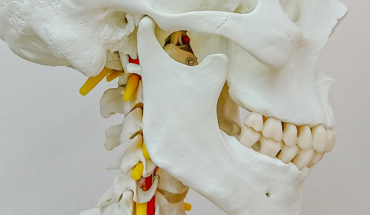 歯ぎしりは歯に悪影響を与える